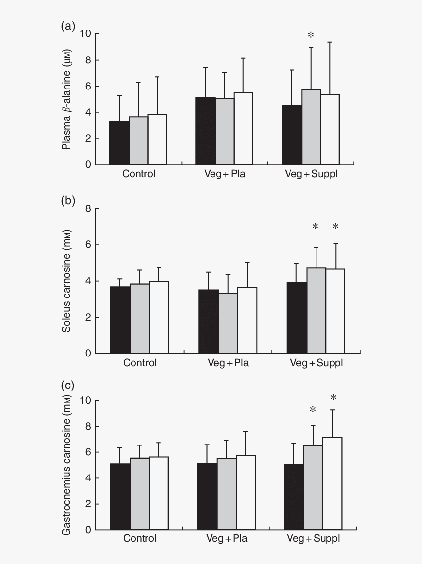 Creatine Supplementation Effect Diet Vegetarians, HD Png Download