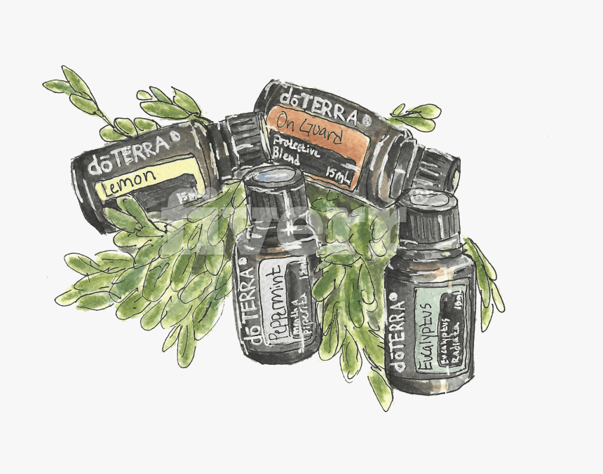 Do A Watercolor And Ink Illustration Of Whatever You - Glass Bottle, HD Png Download