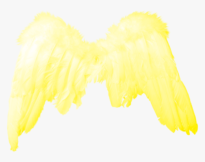 Imágenes Para Photoscape De Alas - Alas De Angel Plumas Png, Transparent Png