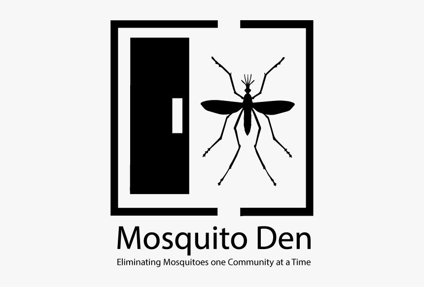 Insect, HD Png Download