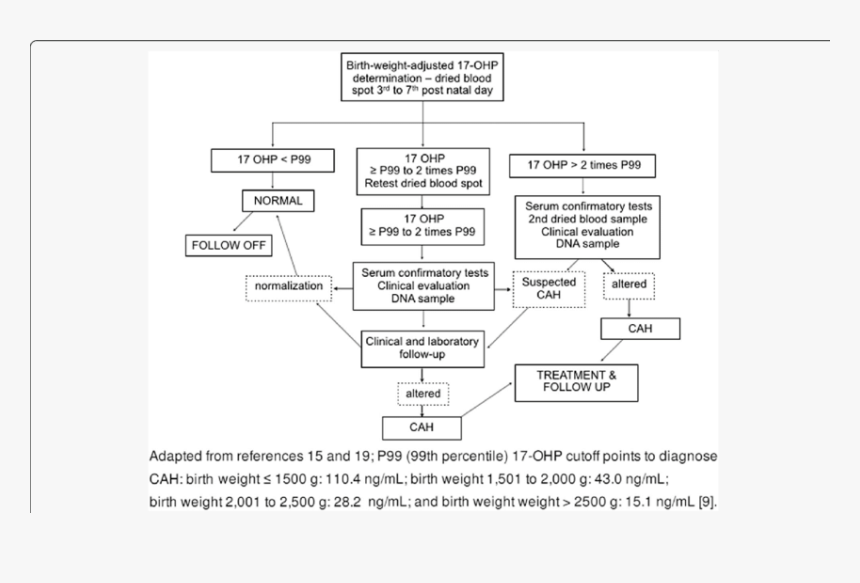 Diagram, HD Png Download