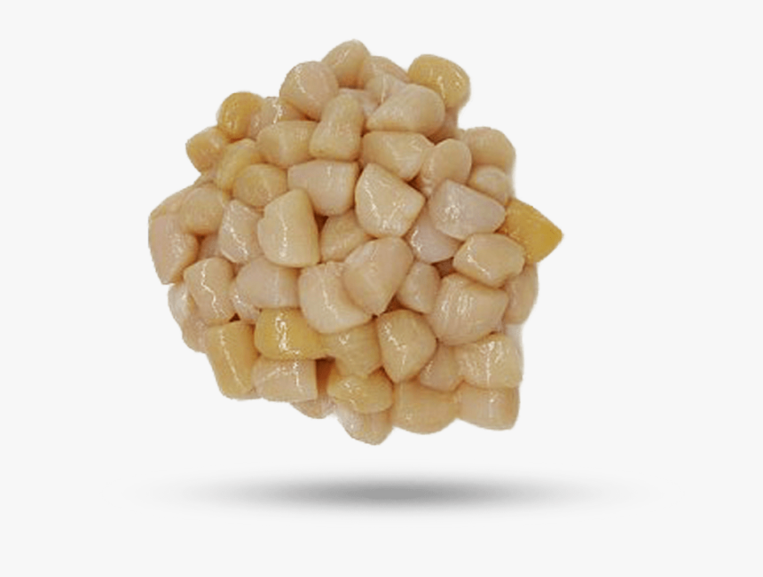 Bay Scallop - Pebble, HD Png Download