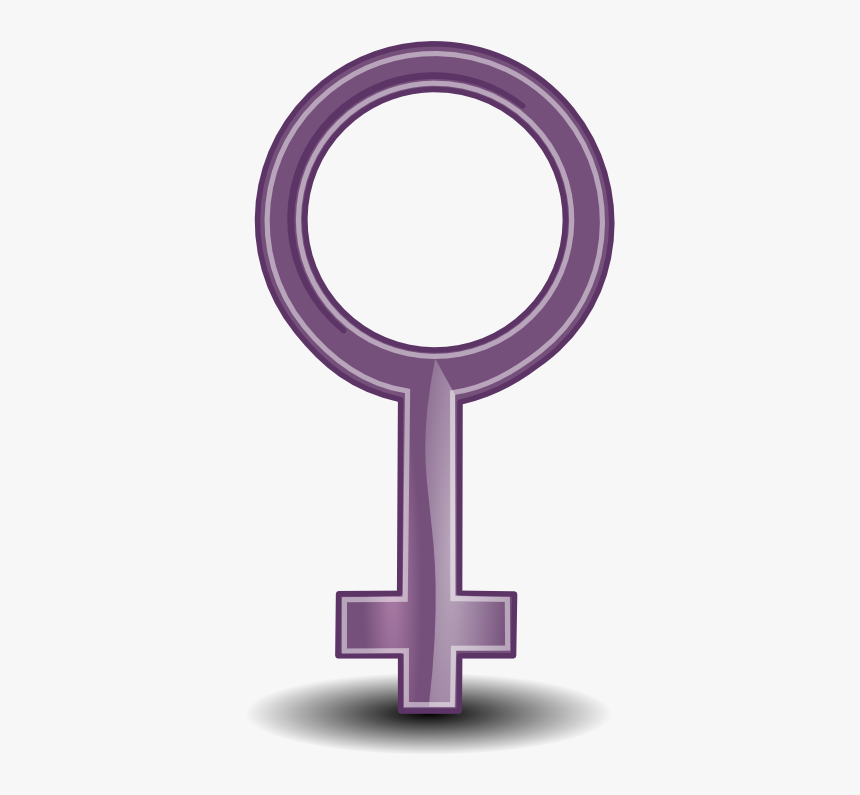 Profile - Circle, HD Png Download