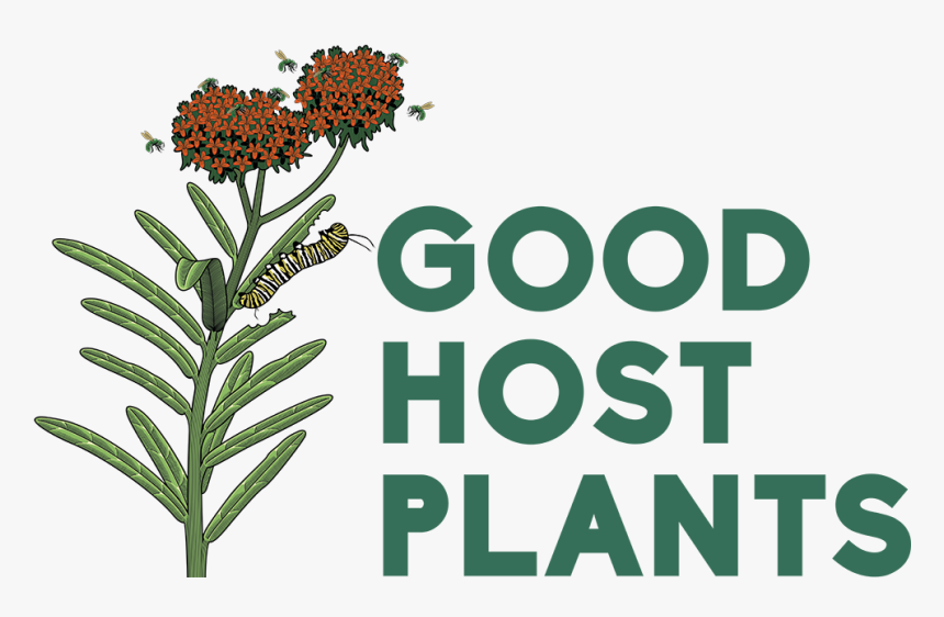 Good Host Plants - South 14th At Barrow, HD Png Download