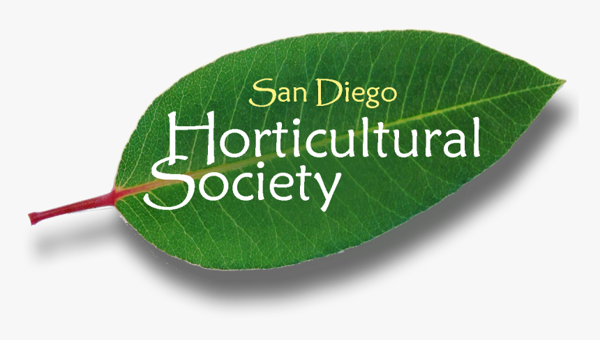 Si Al Touch And Go, HD Png Download