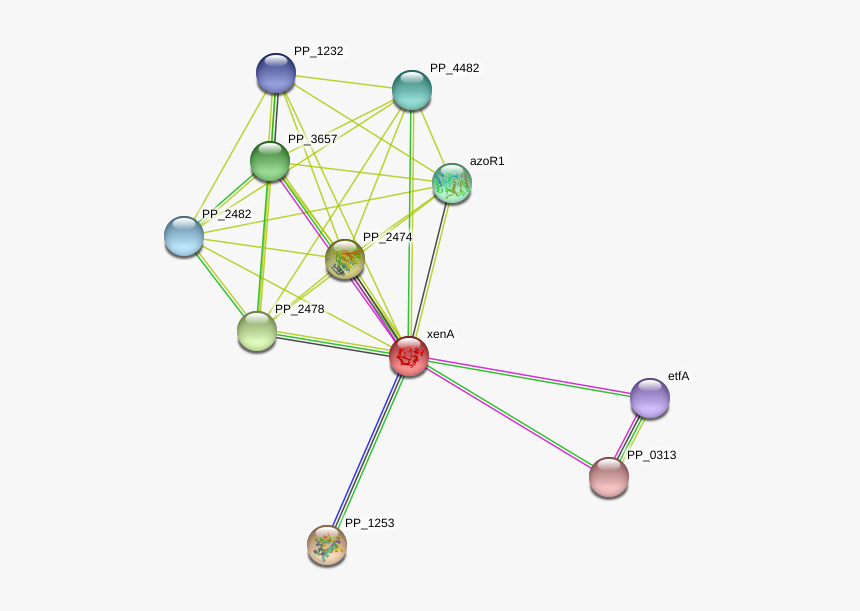 Xena Protein - Circle, HD Png Download
