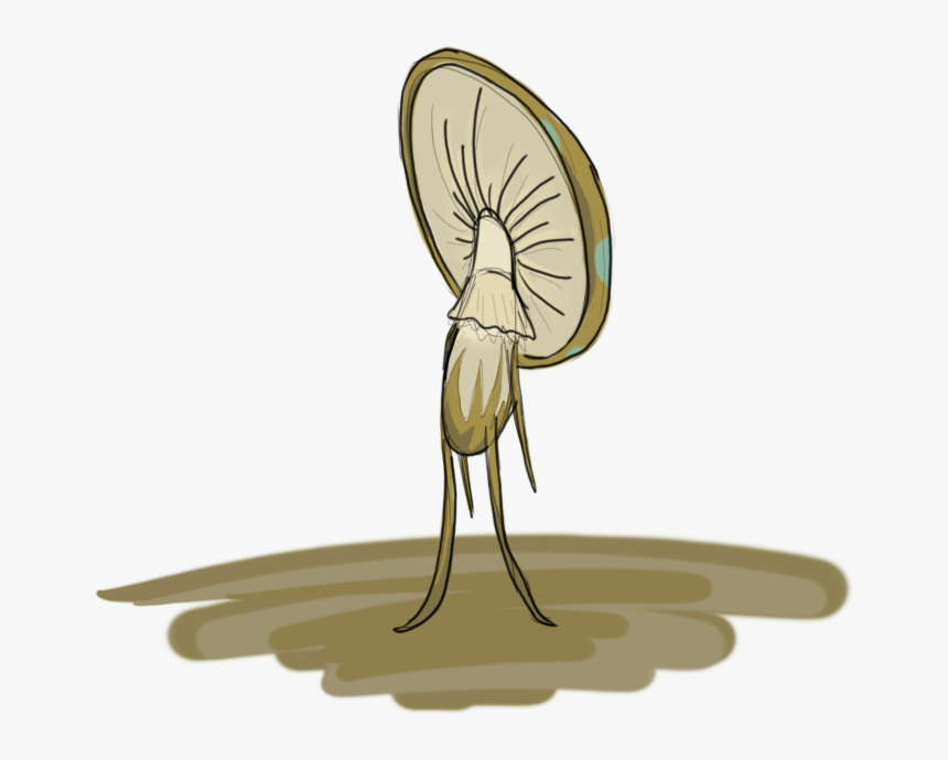 Illustration, HD Png Download