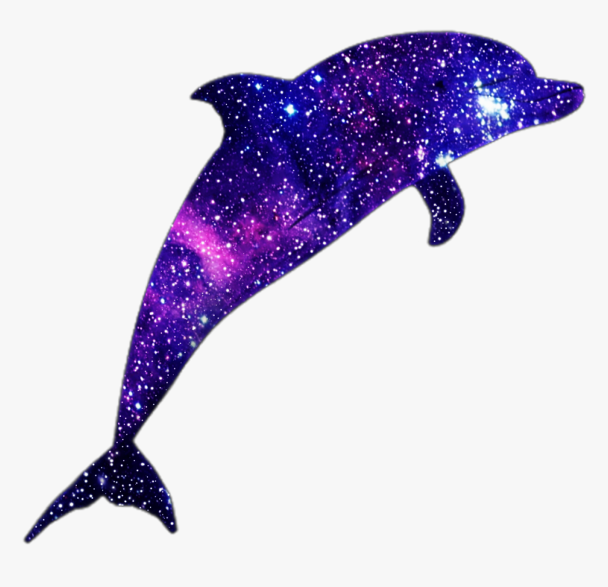 Transparent Delfin Clipart, HD Png Download