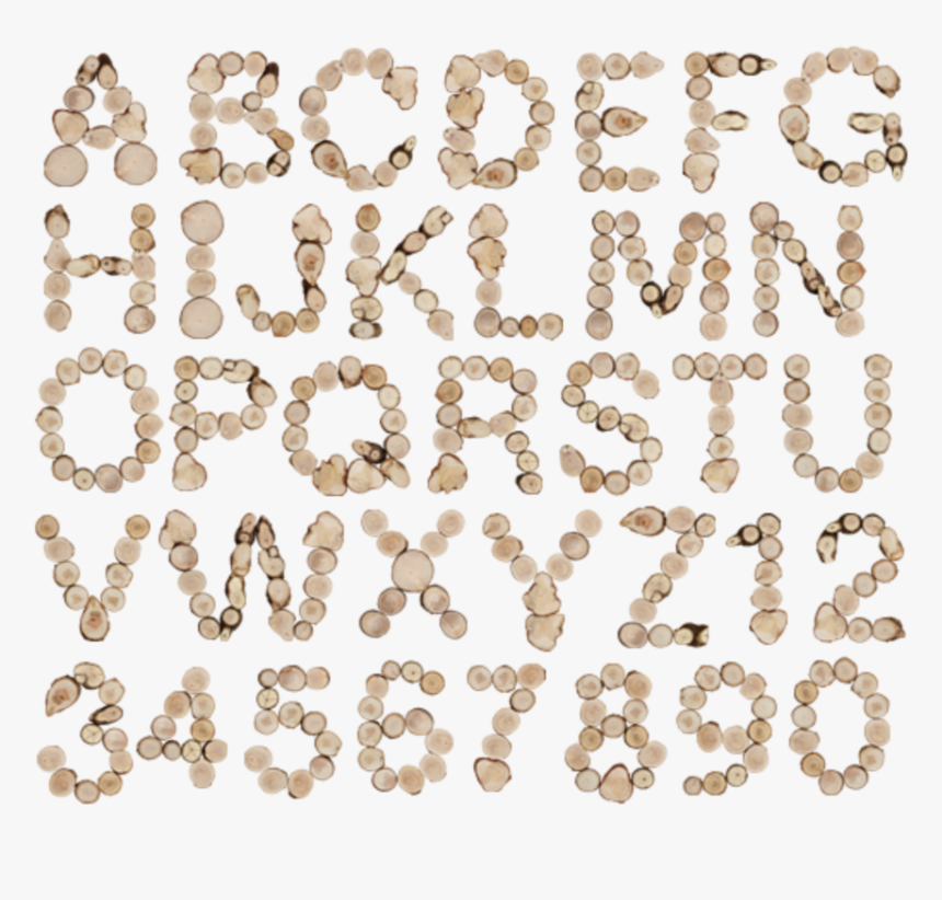 Thumb Image - Illustration, HD Png Download