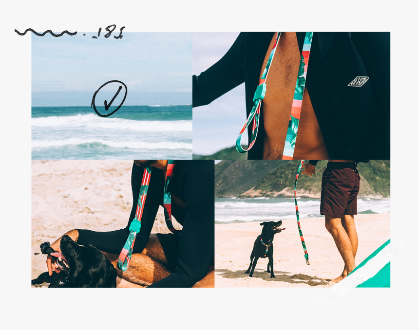 Shock Absorbent Dog Leash Bali - Guia Bali Zeedog, HD Png Download