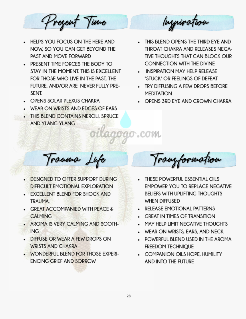 Document, HD Png Download