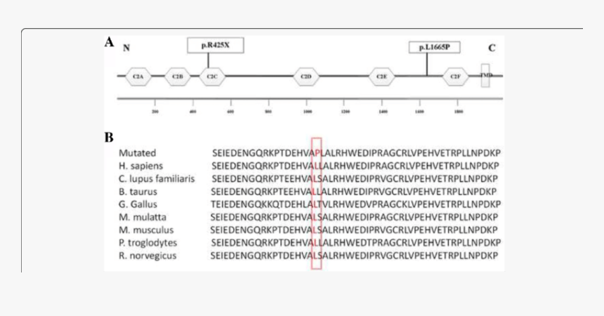 Screenshot, HD Png Download