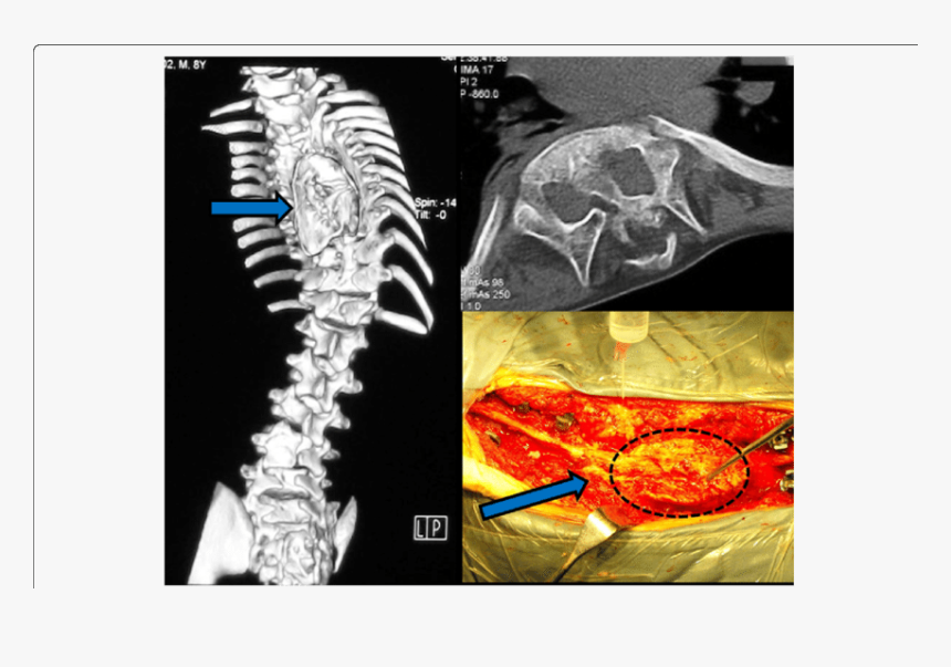 Medical Imaging, HD Png Download