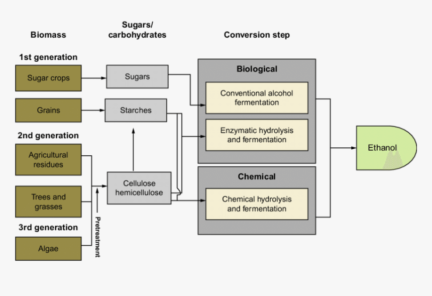 Outline Of Ethanol Production, HD Png Download