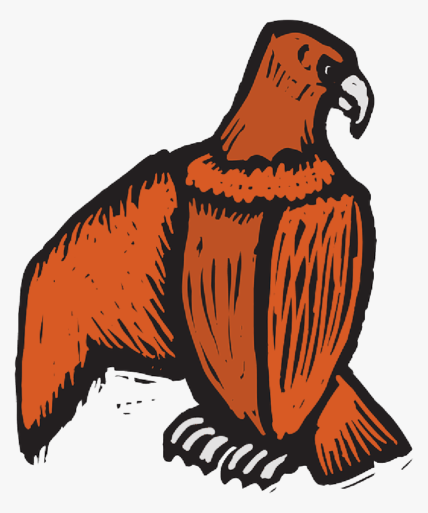 Eagle, Bird, Style, Wings, Art, Off, Beak, Scratch - Eagle, HD Png Download