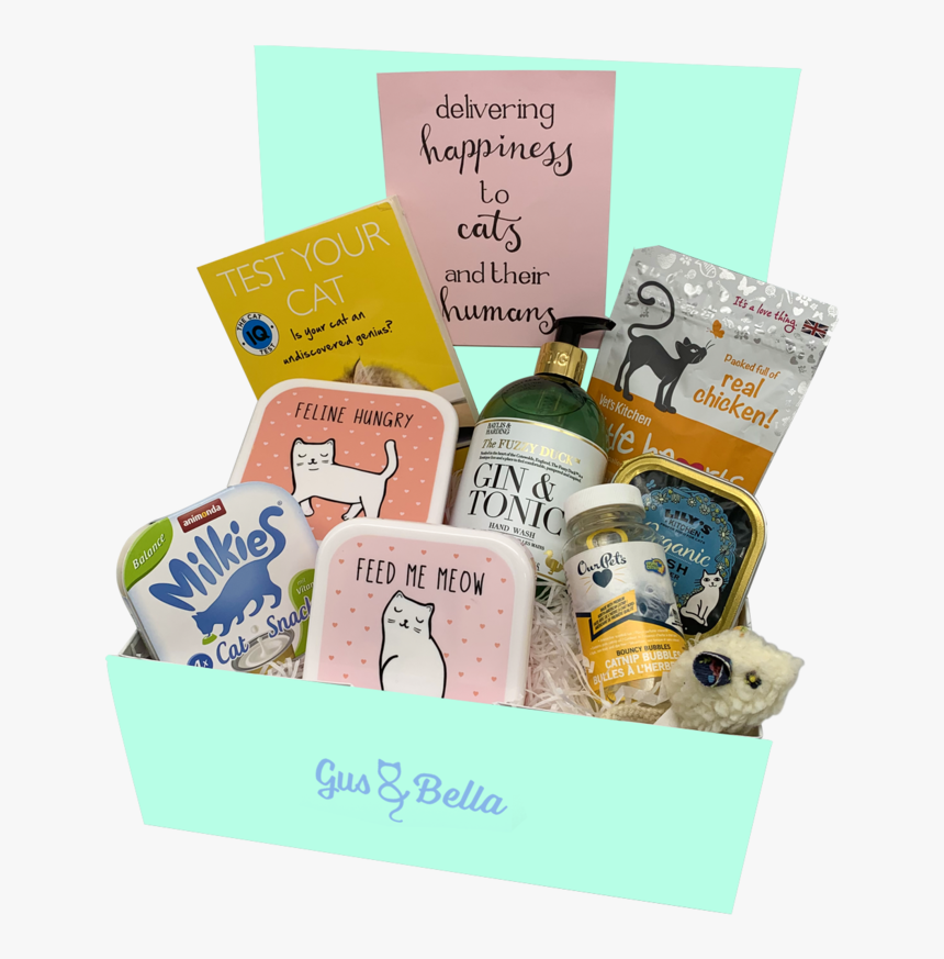 Gus And Bella 3 - Box, HD Png Download