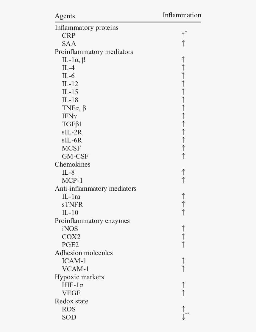 Document, HD Png Download