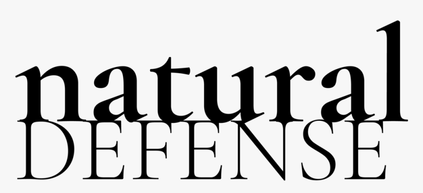 Asset 61 - Calligraphy, HD Png Download