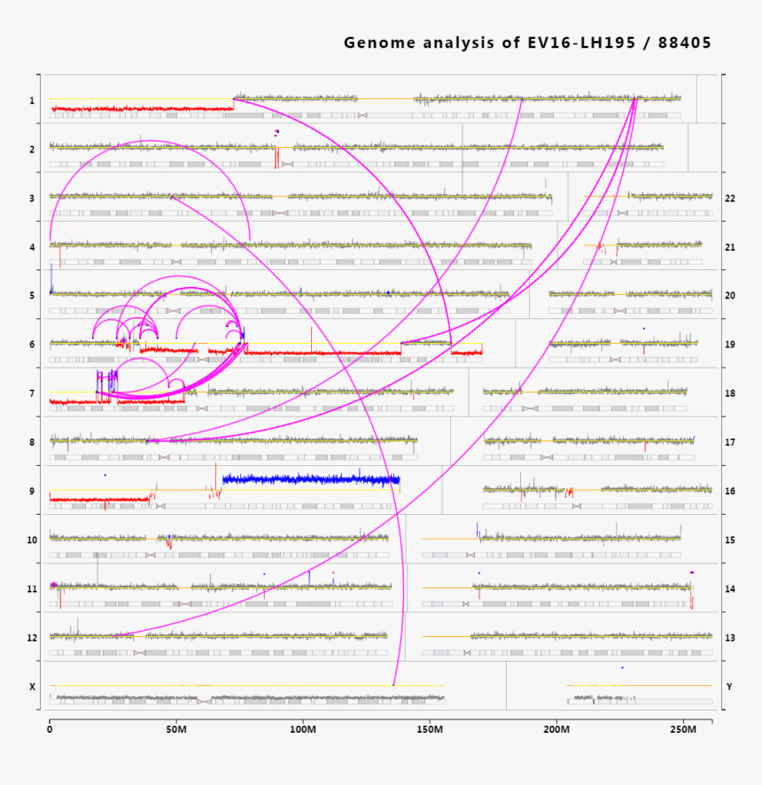 Diagram, HD Png Download