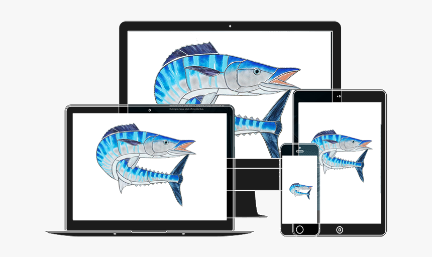 Class Img Responsive Animated Zoominup Animation Delay - Sailfish, HD Png Download