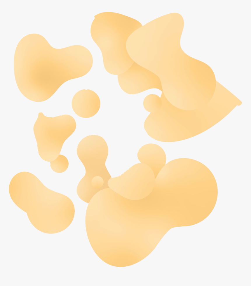 Maidenhair Tree, HD Png Download