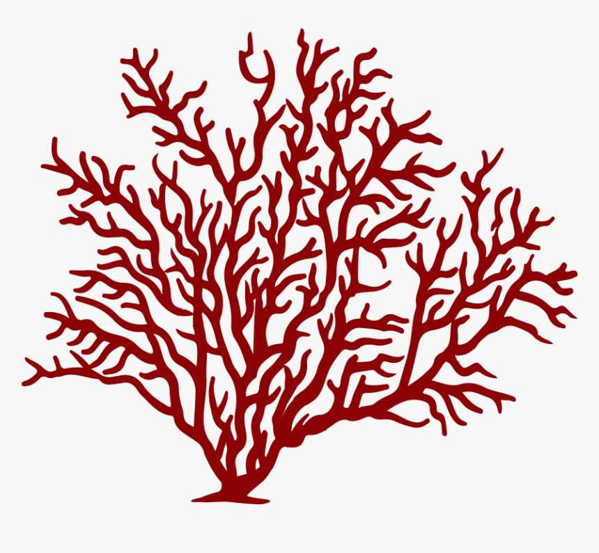 Watercolor Coral Png - Coral Clipart Png, Transparent Png