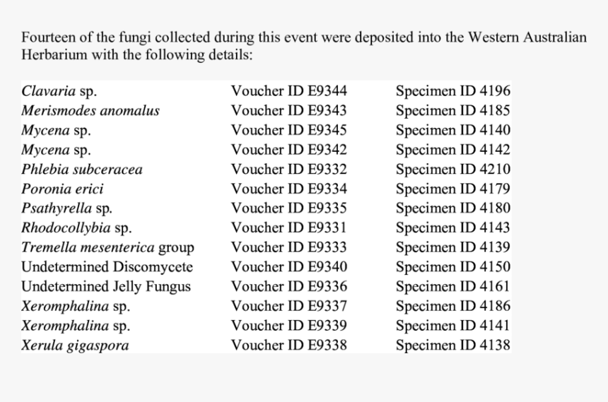 Document, HD Png Download