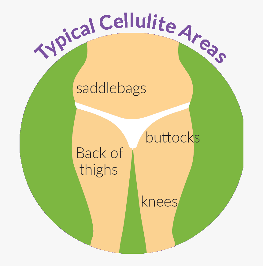 Circle, HD Png Download