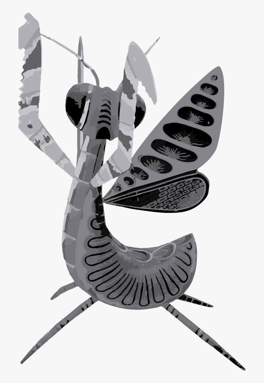 Grillo Alebrije, HD Png Download