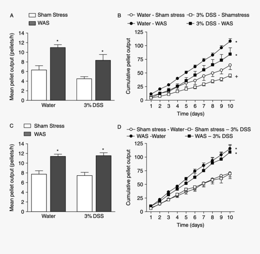 Diagram, HD Png Download
