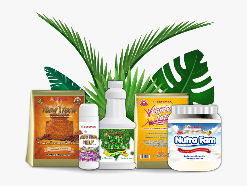 Productos - Let's Get Wild, HD Png Download