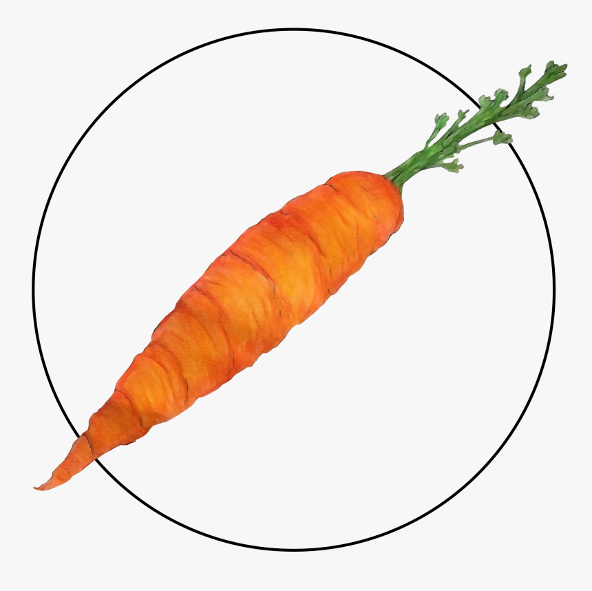 Attribute Motif Carrot, HD Png Download