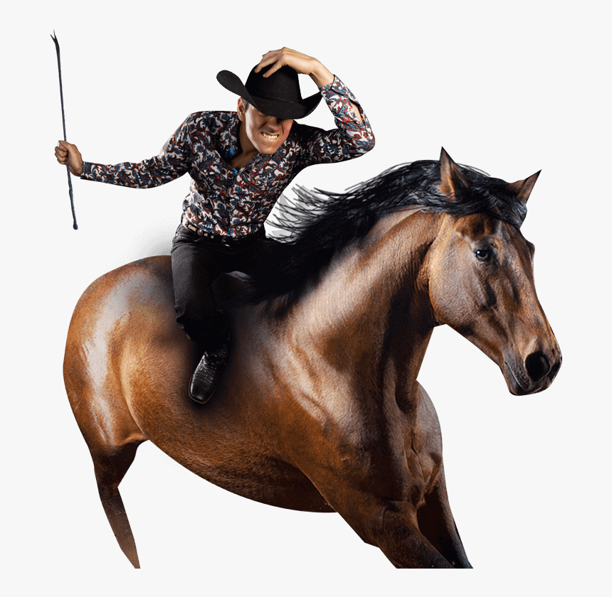 Stallion, HD Png Download