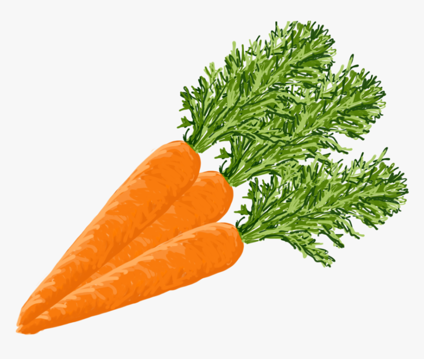 Carrots - Baby Carrot, HD Png Download