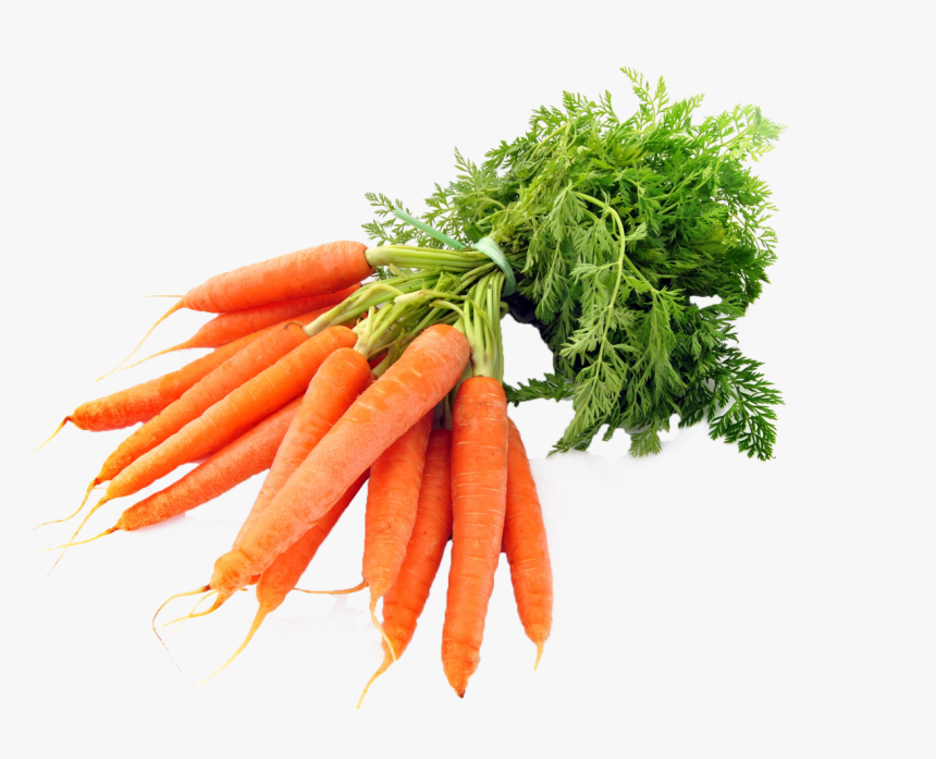 Carrots Png Image - Transparent Transparent Background Carrot Png, Png Download