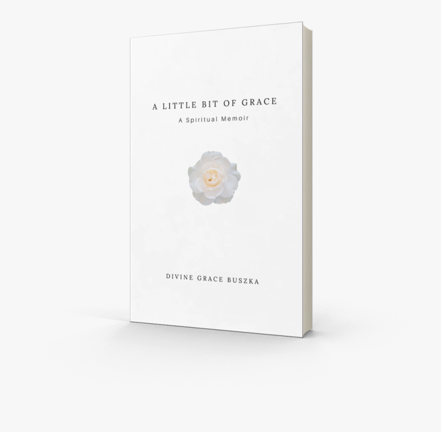 Smartmockups K3xxxuz2 - Koala, HD Png Download