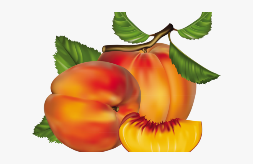 Peach Clipart Chico - Peach Fruit, HD Png Download