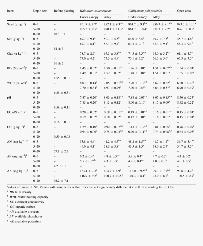 Document, HD Png Download