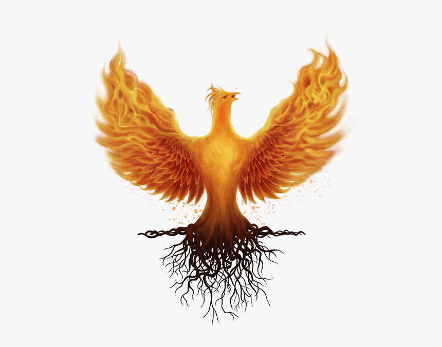 Logo Ashes Of Creation, HD Png Download