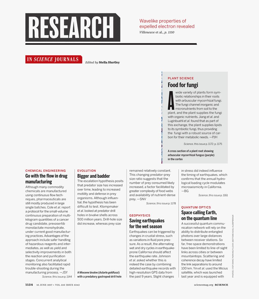 Brief News In Magazine, HD Png Download