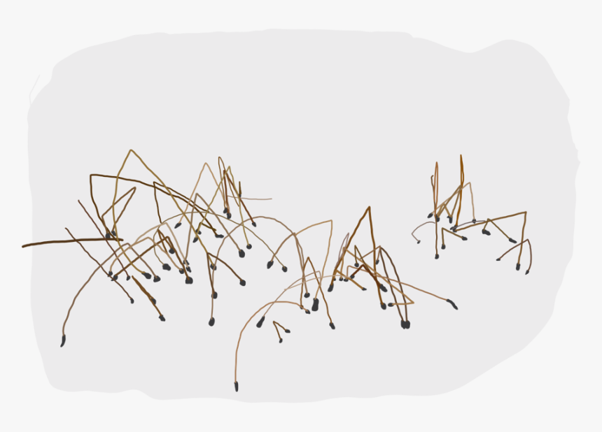 Illustration, HD Png Download