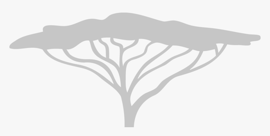 White Acacia Tree Logo, HD Png Download