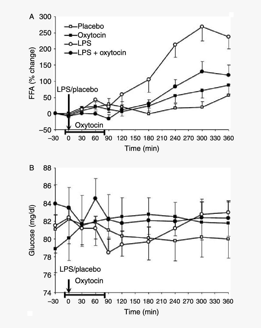 Diagram, HD Png Download
