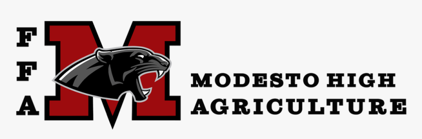 Picture - Marine Mammal, HD Png Download