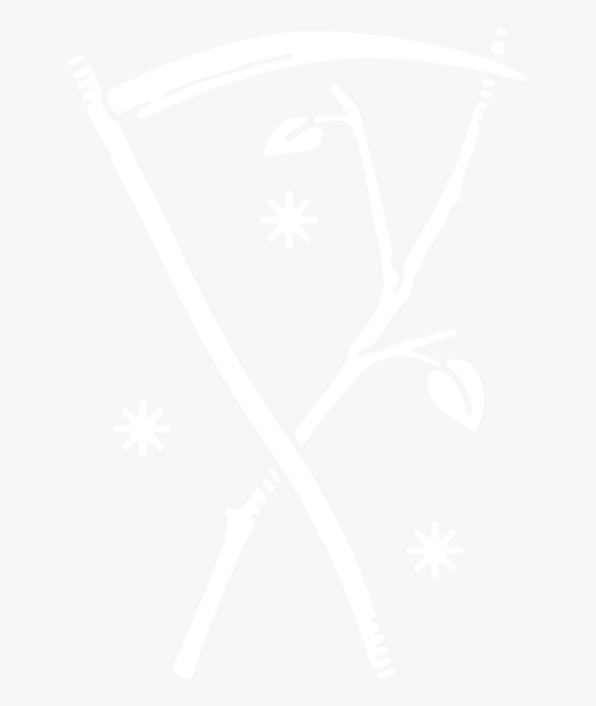 Img 4017, HD Png Download