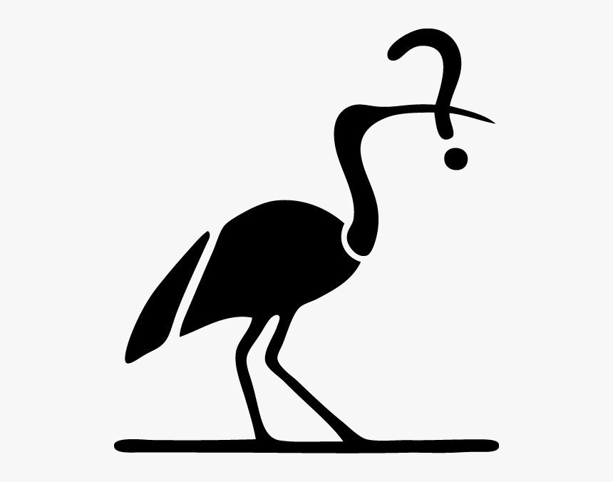 Crane-like Bird, HD Png Download