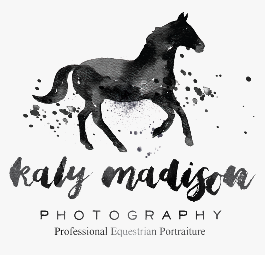 Kaly Logo, HD Png Download