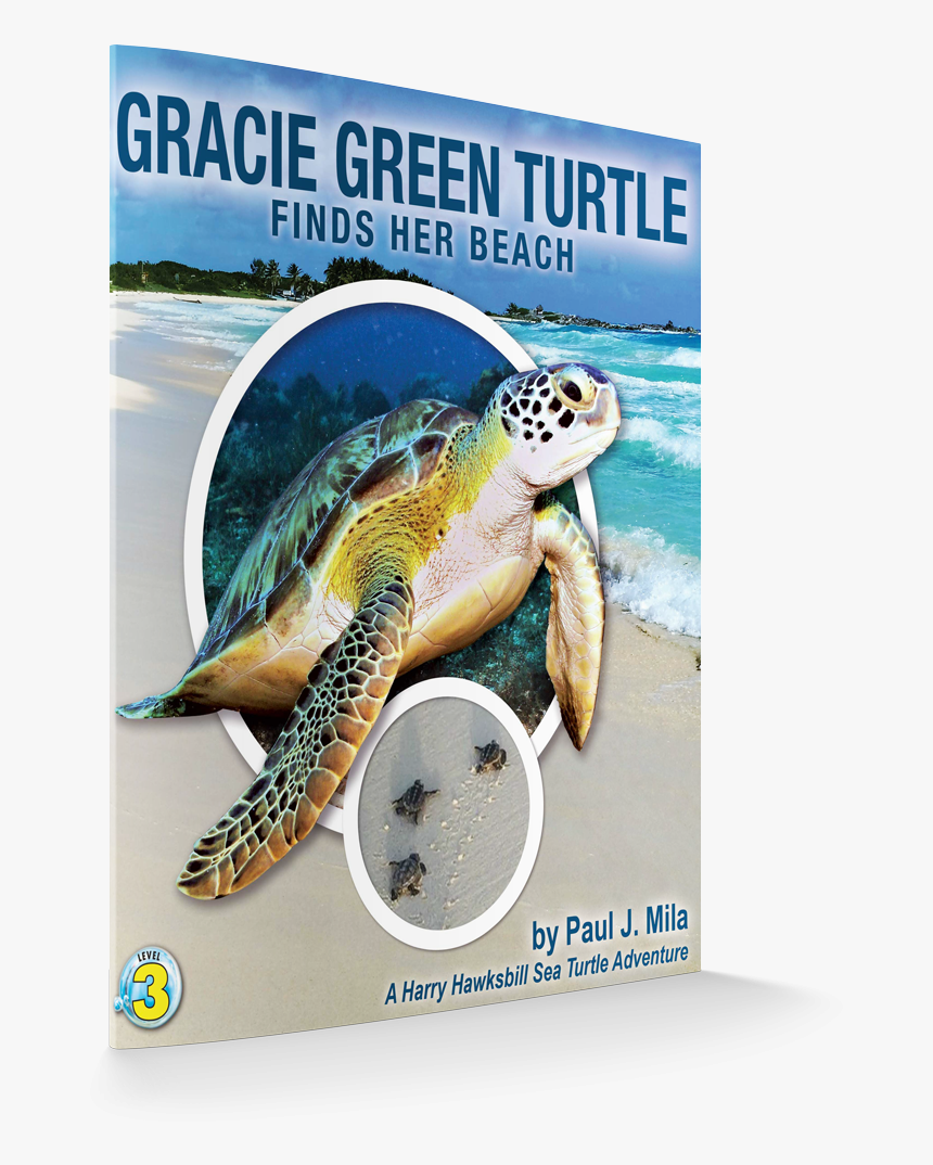 Gracie Cover 3d - Green Sea Turtle, HD Png Download