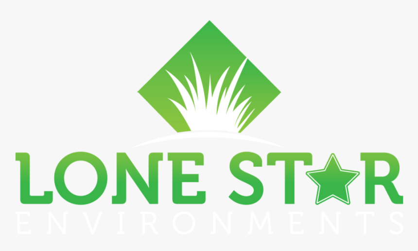 Lse-logo White - Graphic Design, HD Png Download