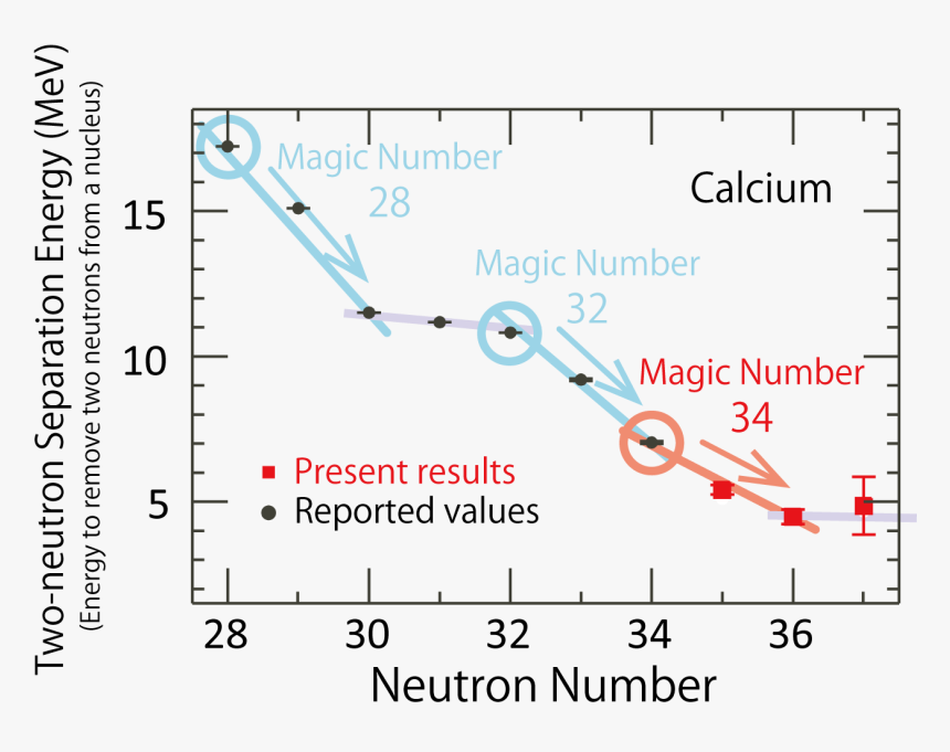 Document, HD Png Download